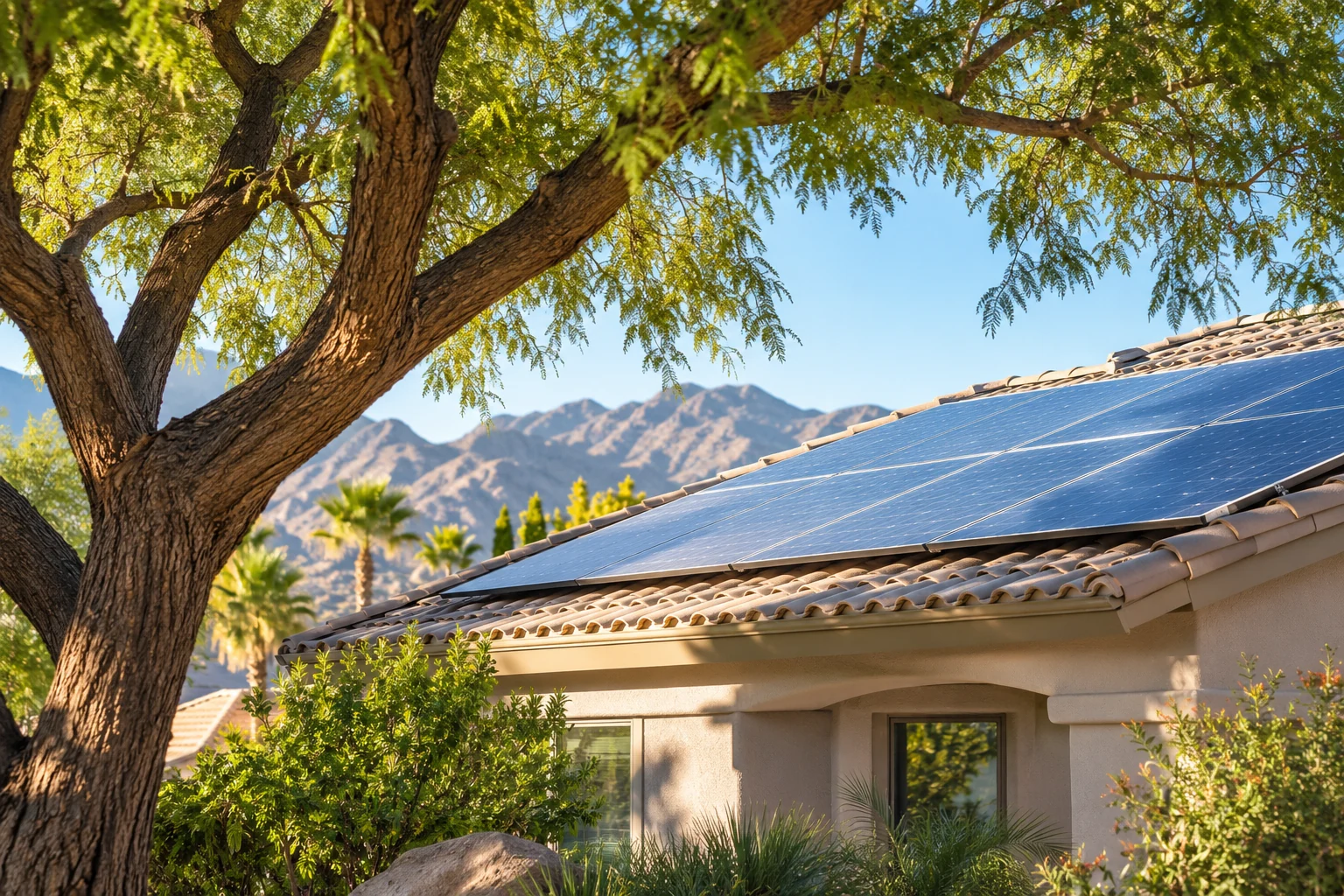 A mature shade tree framing rooftop solar panels
