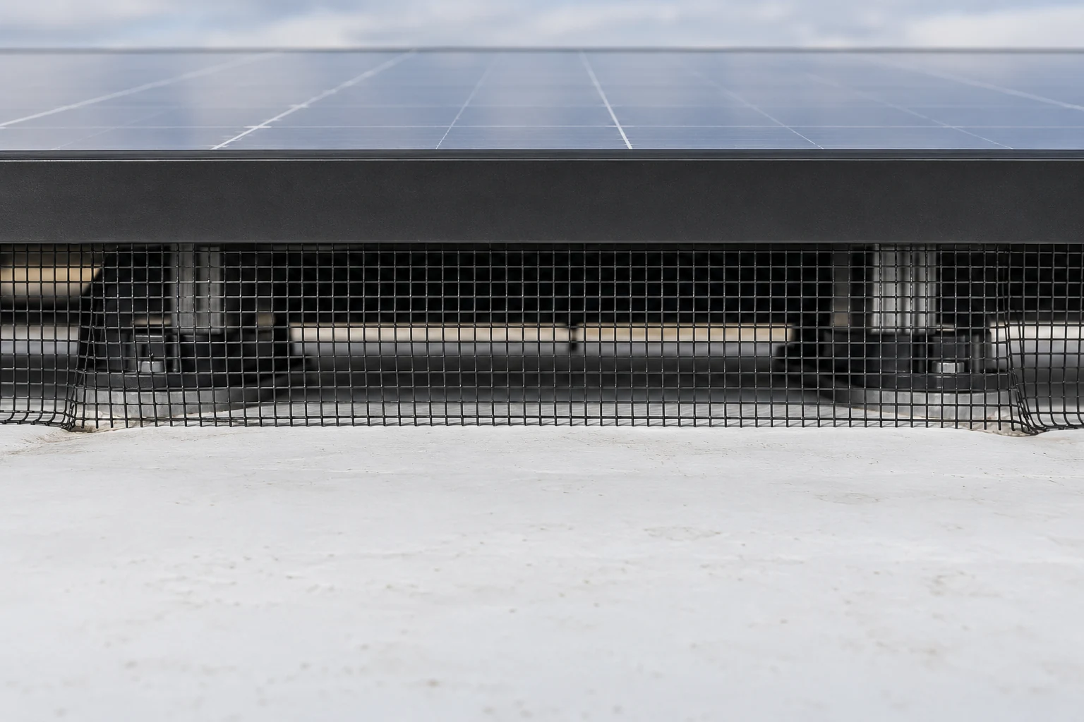 Black bird exclusion mesh closes the gap below a solar array on a pale commercial roof membrane.
